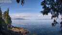 ./images/koeye/fitz-hugh/20250614/fitz-hugh20250614_102010M.jpg