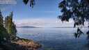./images/koeye/fitz-hugh/20250614/fitz-hugh20250614_102510M.jpg