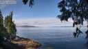 ./images/koeye/fitz-hugh/20250614/fitz-hugh20250614_103510M.jpg