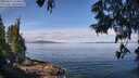 ./images/koeye/fitz-hugh/20250614/fitz-hugh20250614_104010M.jpg