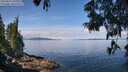 ./images/koeye/fitz-hugh/20250614/fitz-hugh20250614_105011M.jpg