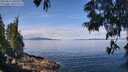 ./images/koeye/fitz-hugh/20250614/fitz-hugh20250614_105510M.jpg