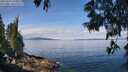 ./images/koeye/fitz-hugh/20250614/fitz-hugh20250614_110012M.jpg