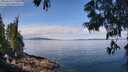 ./images/koeye/fitz-hugh/20250614/fitz-hugh20250614_110510M.jpg