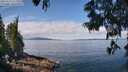 ./images/koeye/fitz-hugh/20250614/fitz-hugh20250614_111510M.jpg
