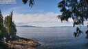 ./images/koeye/fitz-hugh/20250614/fitz-hugh20250614_112010M.jpg