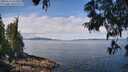 ./images/koeye/fitz-hugh/20250614/fitz-hugh20250614_112510M.jpg
