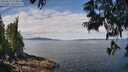 ./images/koeye/fitz-hugh/20250614/fitz-hugh20250614_113011M.jpg
