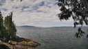 ./images/koeye/fitz-hugh/20250614/fitz-hugh20250614_115010M.jpg
