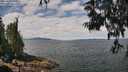 ./images/koeye/fitz-hugh/20250614/fitz-hugh20250614_115510M.jpg