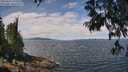 ./images/koeye/fitz-hugh/20250614/fitz-hugh20250614_120510M.jpg