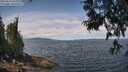 ./images/koeye/fitz-hugh/20250614/fitz-hugh20250614_122008M.jpg