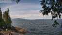 ./images/koeye/fitz-hugh/20250614/fitz-hugh20250614_122510M.jpg