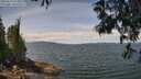 ./images/koeye/fitz-hugh/20250614/fitz-hugh20250614_123012M.jpg