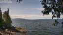 ./images/koeye/fitz-hugh/20250614/fitz-hugh20250614_124010M.jpg