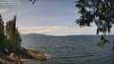 ./images/koeye/fitz-hugh/20250614/fitz-hugh20250614_124512M.jpg