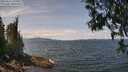 ./images/koeye/fitz-hugh/20250614/fitz-hugh20250614_125011M.jpg
