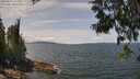 ./images/koeye/fitz-hugh/20250614/fitz-hugh20250614_131011M.jpg