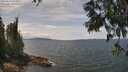 ./images/koeye/fitz-hugh/20250614/fitz-hugh20250614_132011M.jpg