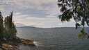 ./images/koeye/fitz-hugh/20250614/fitz-hugh20250614_132510M.jpg