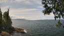 ./images/koeye/fitz-hugh/20250614/fitz-hugh20250614_133509M.jpg