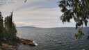 ./images/koeye/fitz-hugh/20250614/fitz-hugh20250614_134511M.jpg