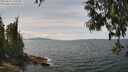 ./images/koeye/fitz-hugh/20250614/fitz-hugh20250614_135509M.jpg