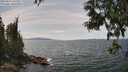./images/koeye/fitz-hugh/20250614/fitz-hugh20250614_141011M.jpg