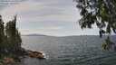 ./images/koeye/fitz-hugh/20250614/fitz-hugh20250614_141511M.jpg