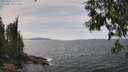 ./images/koeye/fitz-hugh/20250614/fitz-hugh20250614_142008M.jpg