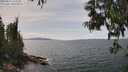 ./images/koeye/fitz-hugh/20250614/fitz-hugh20250614_142510M.jpg