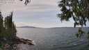 ./images/koeye/fitz-hugh/20250614/fitz-hugh20250614_143510M.jpg