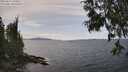 ./images/koeye/fitz-hugh/20250614/fitz-hugh20250614_144011M.jpg