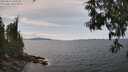 ./images/koeye/fitz-hugh/20250614/fitz-hugh20250614_144509M.jpg