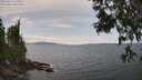 ./images/koeye/fitz-hugh/20250614/fitz-hugh20250614_145011M.jpg