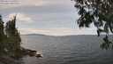 ./images/koeye/fitz-hugh/20250614/fitz-hugh20250614_145510M.jpg