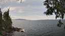 ./images/koeye/fitz-hugh/20250614/fitz-hugh20250614_150013M.jpg