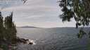 ./images/koeye/fitz-hugh/20250614/fitz-hugh20250614_151010M.jpg