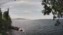 ./images/koeye/fitz-hugh/20250614/fitz-hugh20250614_151511M.jpg