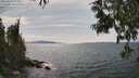 ./images/koeye/fitz-hugh/20250614/fitz-hugh20250614_152011M.jpg