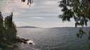./images/koeye/fitz-hugh/20250614/fitz-hugh20250614_153011M.jpg