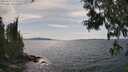 ./images/koeye/fitz-hugh/20250614/fitz-hugh20250614_153508M.jpg