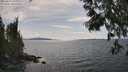 ./images/koeye/fitz-hugh/20250614/fitz-hugh20250614_154009M.jpg