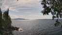 ./images/koeye/fitz-hugh/20250614/fitz-hugh20250614_154511M.jpg