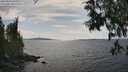 ./images/koeye/fitz-hugh/20250614/fitz-hugh20250614_155009M.jpg