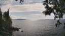 ./images/koeye/fitz-hugh/20250614/fitz-hugh20250614_160511M.jpg