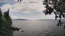 ./images/koeye/fitz-hugh/20250614/fitz-hugh20250614_161011M.jpg