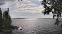 ./images/koeye/fitz-hugh/20250614/fitz-hugh20250614_162008M.jpg