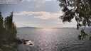 ./images/koeye/fitz-hugh/20250614/fitz-hugh20250614_163509M.jpg