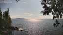 ./images/koeye/fitz-hugh/20250614/fitz-hugh20250614_164510M.jpg